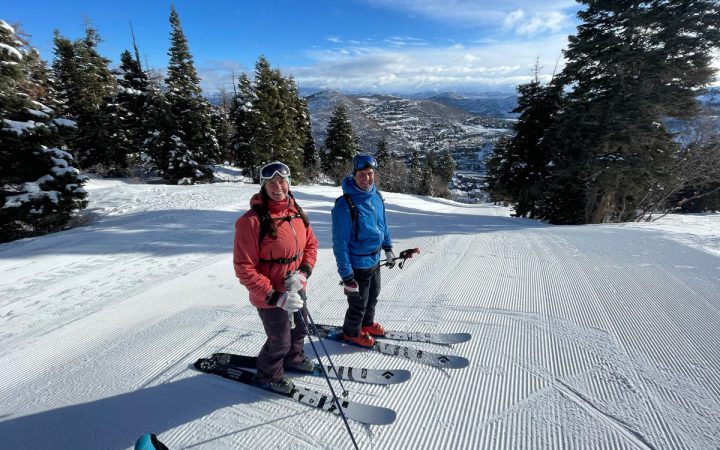 Skier level : beginner skier, intermediate skier or expert skier